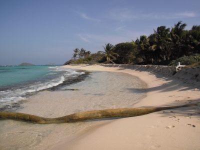 Información climática de San Vicente y las Granadinas