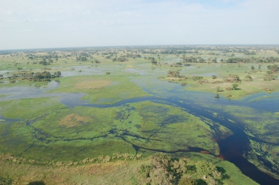Okavango Delta, Botswana (Joachim Huber)  [flickr.com]  CC BY-SA 
Información sobre la licencia en 'Verificación de las fuentes de la imagen'