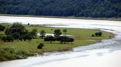 Zbrucz River (Leszek Kozlowski)  [flickr.com]  CC BY 
Información sobre la licencia en 'Verificación de las fuentes de la imagen'